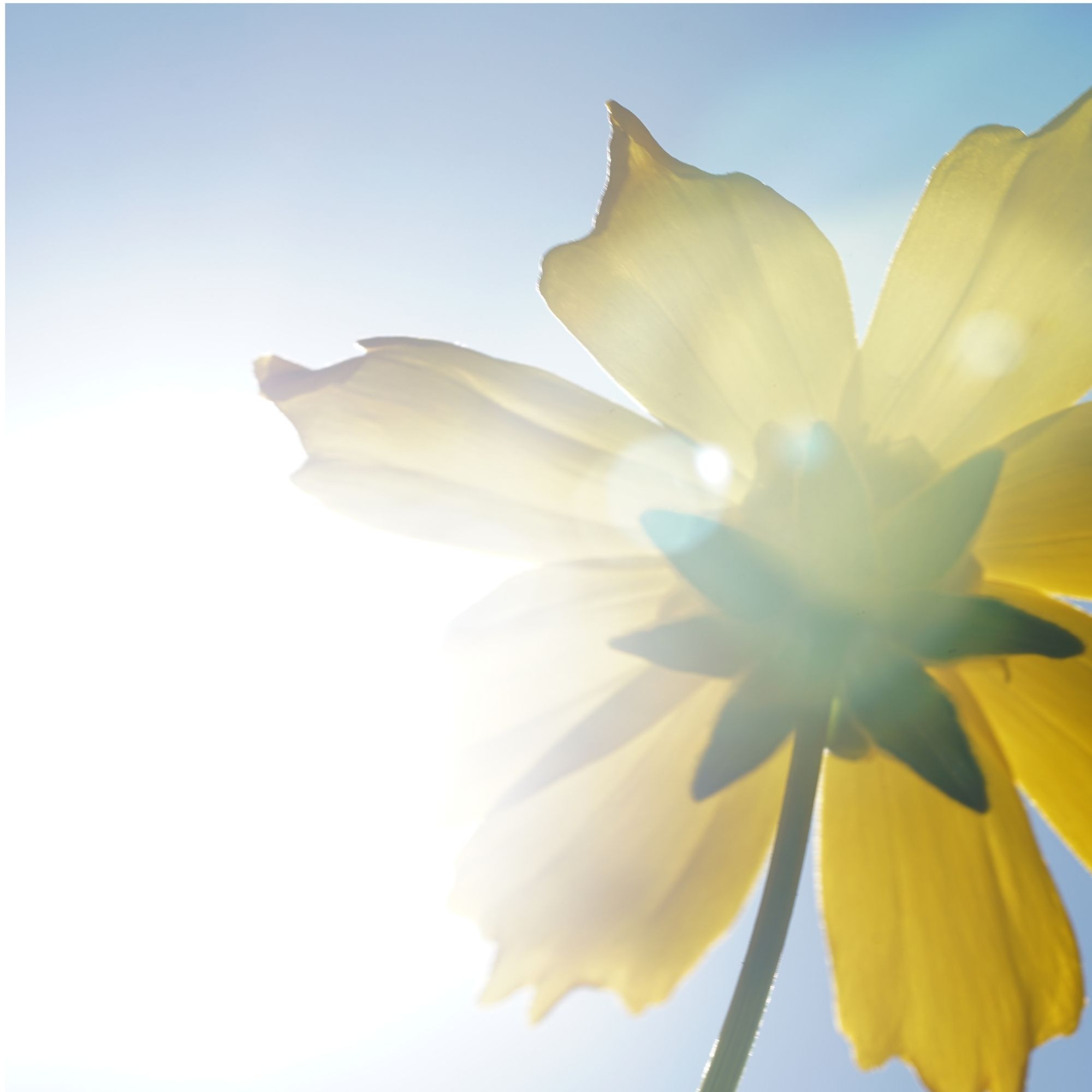 Therapeutische coachopleiding bij Coach Clinic