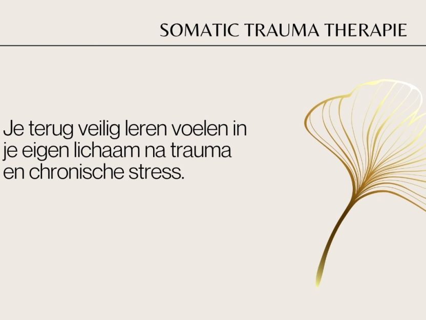 Somatic Trauma Therapy membership bij Coach Clinic